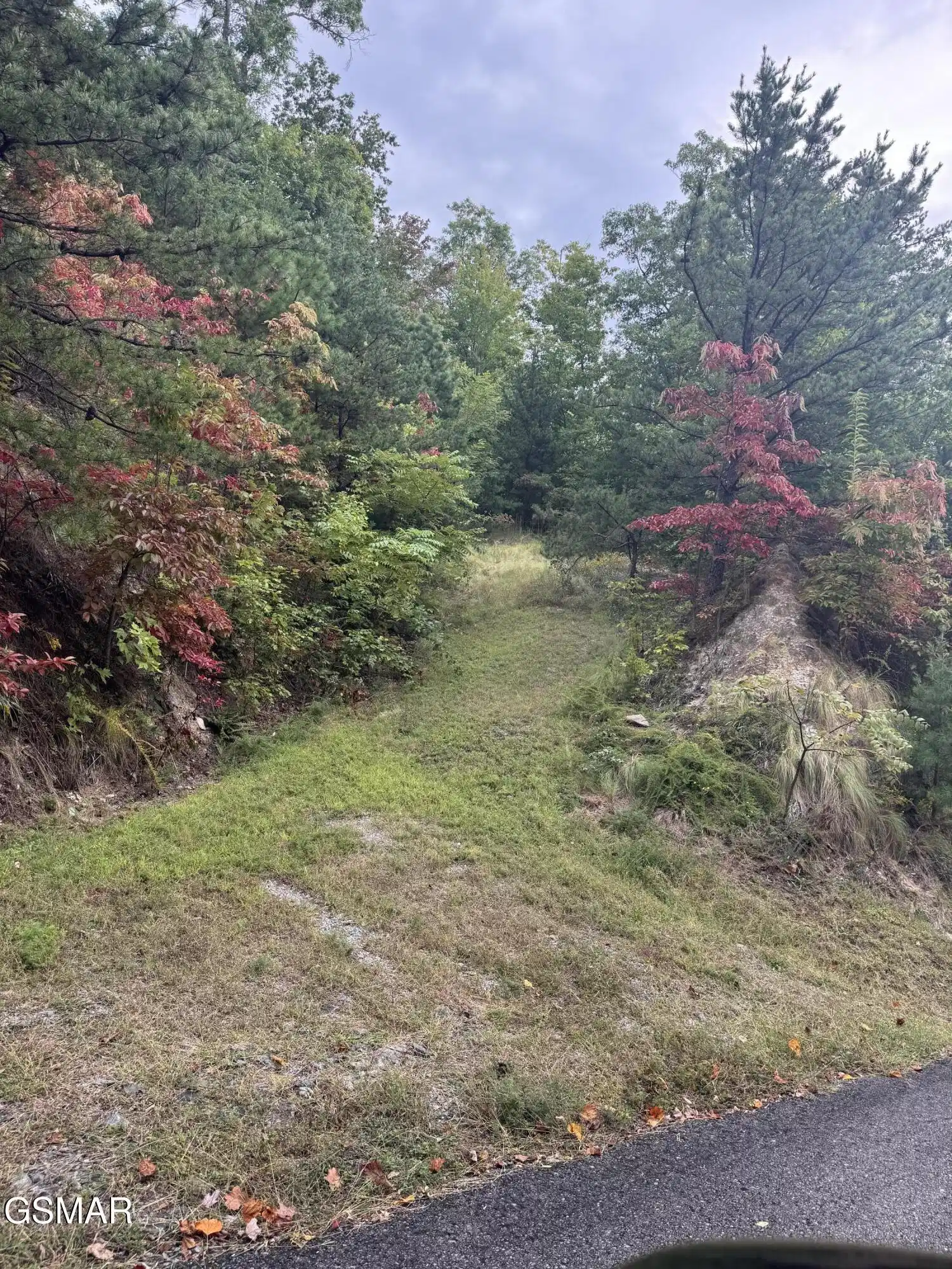 Image 1 Image 1