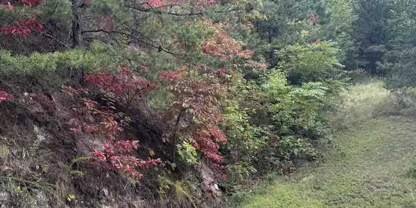 Image 4 Image 4