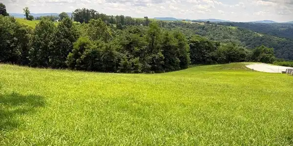 Image 4 Image 4