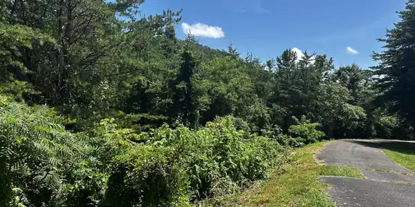 0 Highlands Bluff Rd