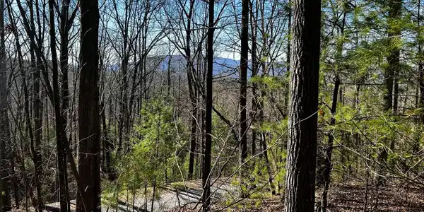 107125 Chestnut Mountain Road
