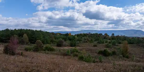 Image 3 Image 3
