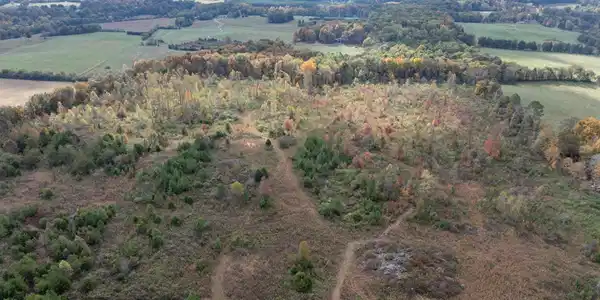 Image 4 Image 4