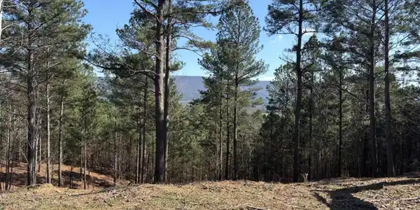 0 County Road 609