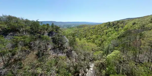 0 Old Spencer Rd. - 172 Acres