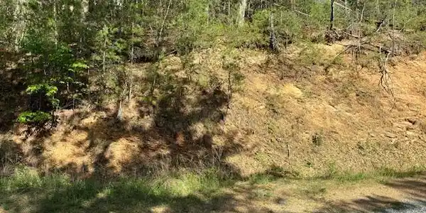 Image 4 Image 4