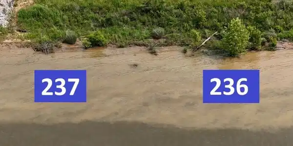 Image 4 Image 4
