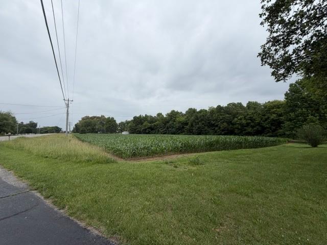 Image 1 Image 1