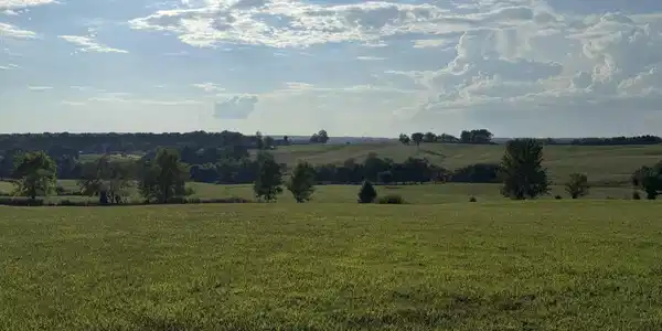 Image 4 Image 4