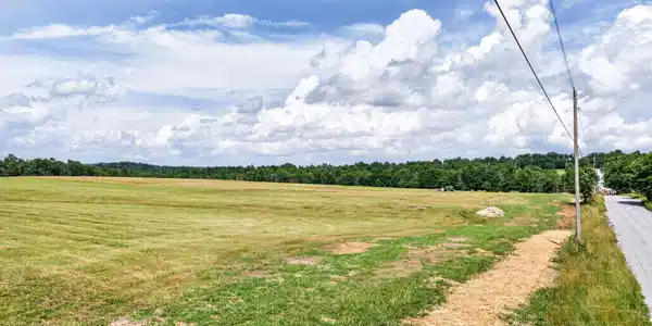 Image 4 Image 4
