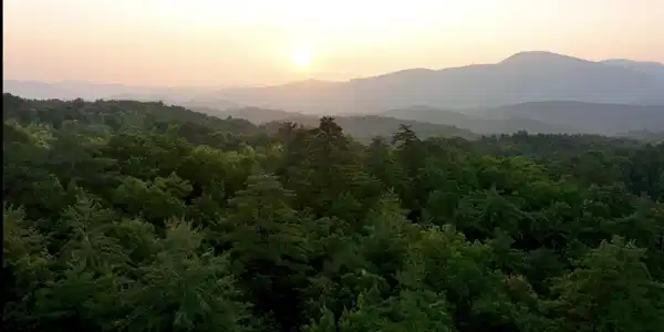 1 Ridge Hollow Rd