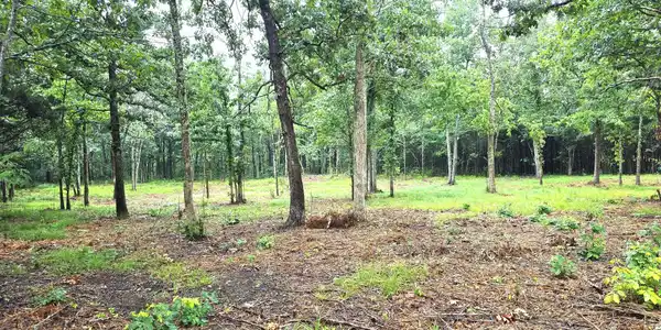 Image 3 Image 3