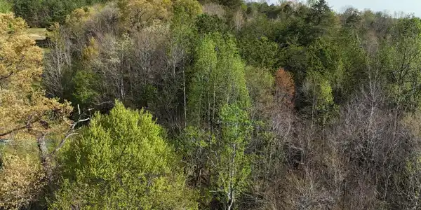 0 County Road 675