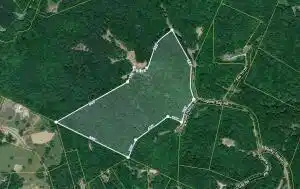 Image 2 Image 2