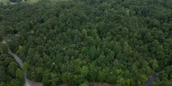 Image 4 Image 4
