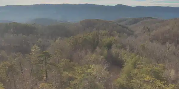 1133 Macedonia Martin Gap Rd