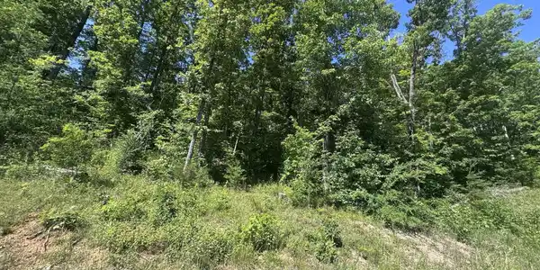 Image 4 Image 4