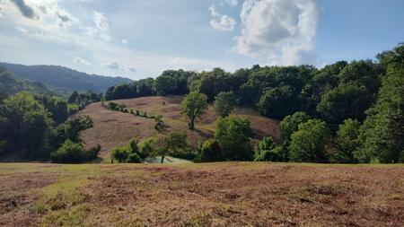 0 Hurricane Creek Rd