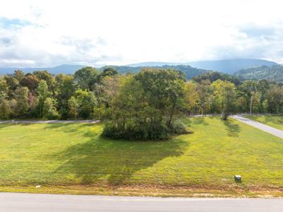 90 Scarlet Oak Drive