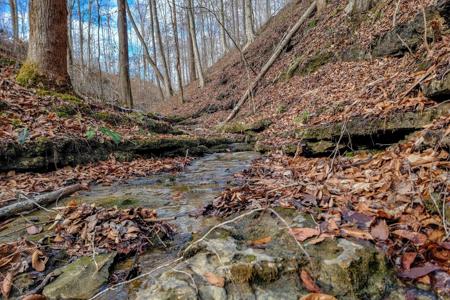 0 Hutchins Bend Rd
