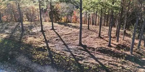 Image 3 Image 3