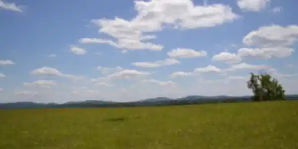 Image 4 Image 4