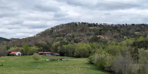 Image 4 Image 4