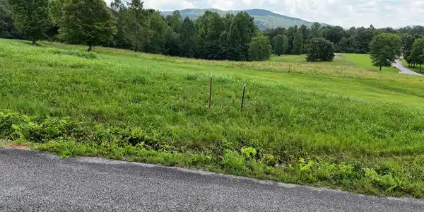 0 Collins Run