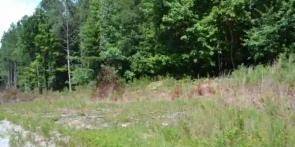 Image 3 Image 3