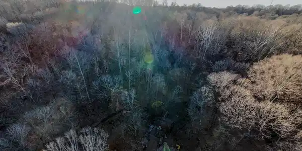 Image 4 Image 4