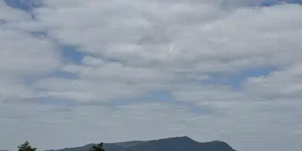 Image 2 Image 2