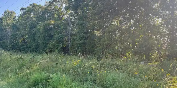 Part of Lot 6-7 HWY 201 NORTH