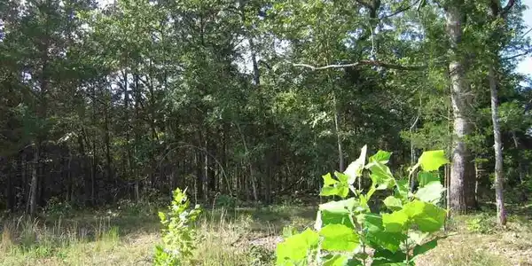 Lot 15 SARGENT PEPPER DRIVE
