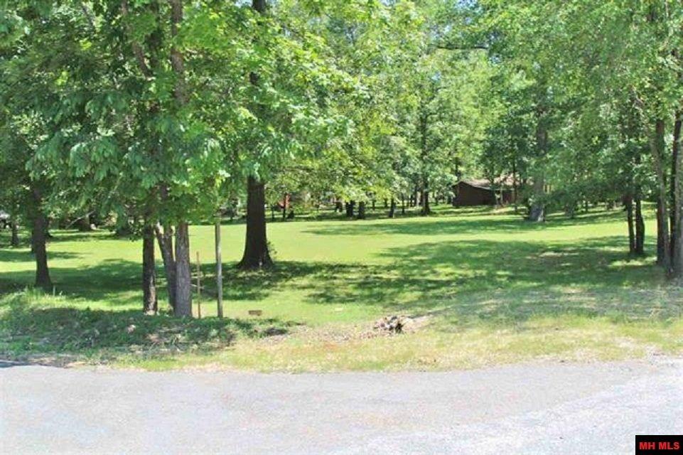Image 1: Image 1