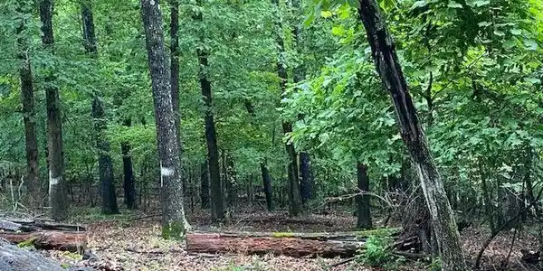 Lot 5 LAKEVIEW CIRCLE