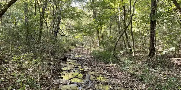 000 OLD RUSH CREEK ROAD