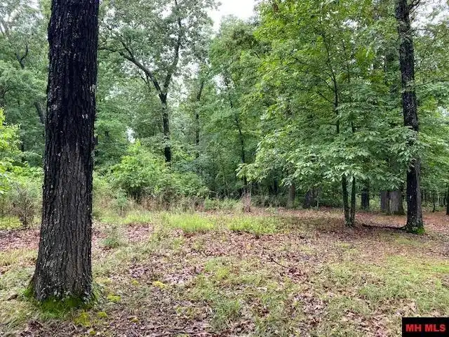 Image 0