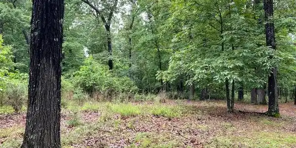 Lot 5 LAKEVIEW CIRCLE