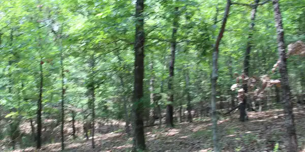 Lot 5A COUNTRY CLUB DRIVE