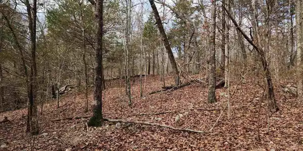 Lot 38 KINGSWAY CIRCLE