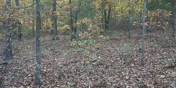 001-00749-000 CR 146