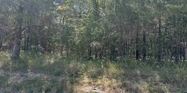 11360 HWY 125