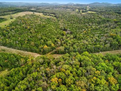 090516000000009 TALL TIMBERS TRAIL