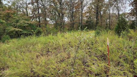 Lot 40 BLUFFVIEW PLACE