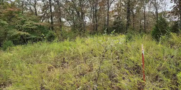 Lot 40 BLUFFVIEW PLACE