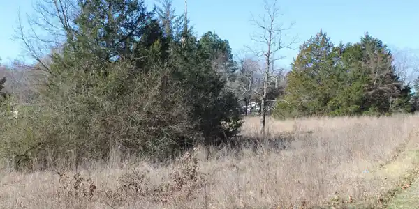 3481 HWY 14 SOUTH