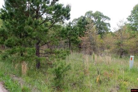 Lot 25 FARMER CIRCLE