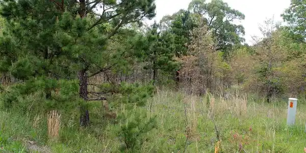Lot 25 FARMER CIRCLE