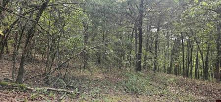 001-07553-000 CR 638