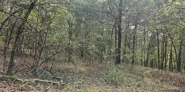 001-07553-000 CR 638